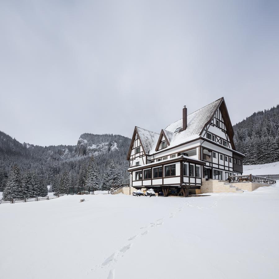 Chalet Alpina Moroeni Exterior foto
